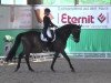 dressage horse Cajetan 3 (Bavarian, 2004, from Charming 8)