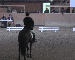 dressage horse Royal Rubens (Oldenburg, 2003, from Rubin Royal OLD)