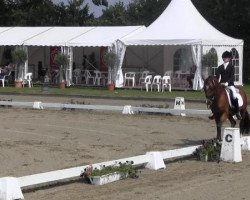 stallion Magic Boy (German Riding Pony, 2006, from Mozart II)