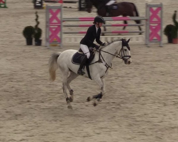Reitturnier Westergellersen 2021