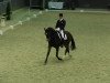 dressage horse Corlando 47 (Hanoverian, 2003, from Contendro I)