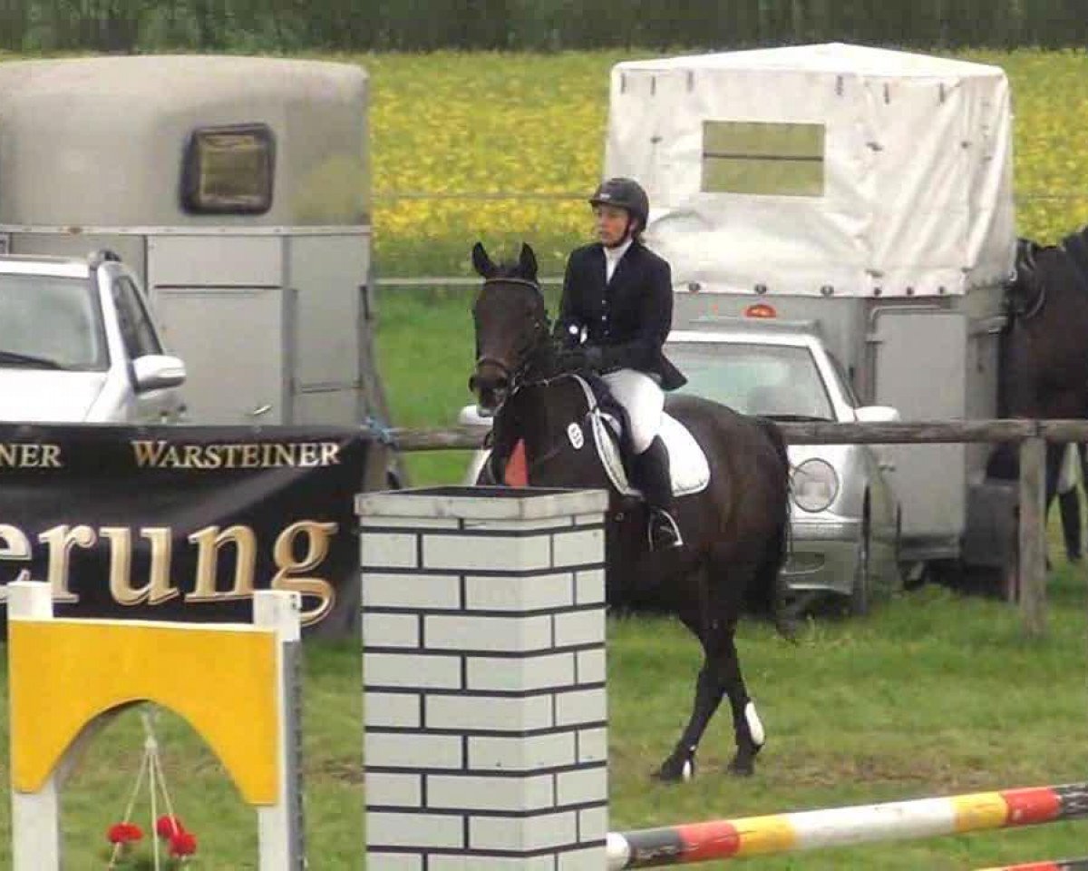 Springpferd Laguna (Westfale, 2002, von Leonid)