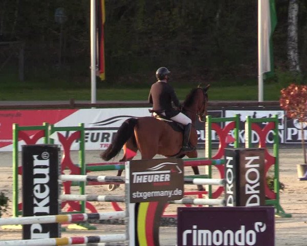 Reitturnier Westergellersen 2021