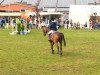 jumper Catego (Hanoverian, 2003, from Couleur Rubin)