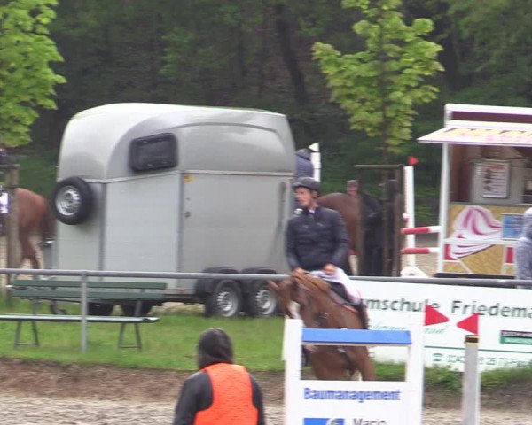 Reitturnier Lgl.-Oberhain, B95 2021