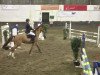 jumper Fährmann (Hessian Warmblood, 2005, from Freudenstern)