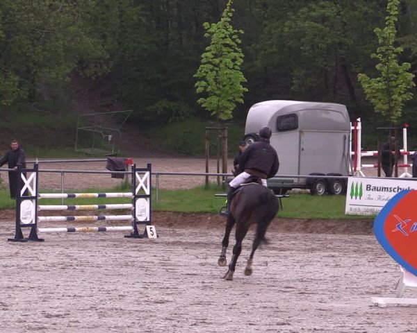 Reitturnier Lgl.-Oberhain, B95 2021