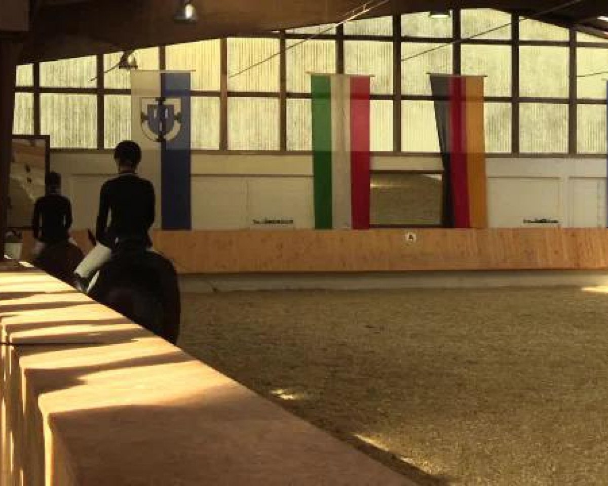 Dressurpferd First Feeling 2 (Deutsches Sportpferd, 2003, von Fürst Piccolo)