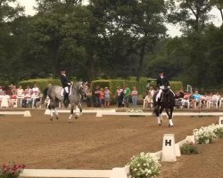 dressage horse Samara As (Westphalian, 2003, from Show Star)