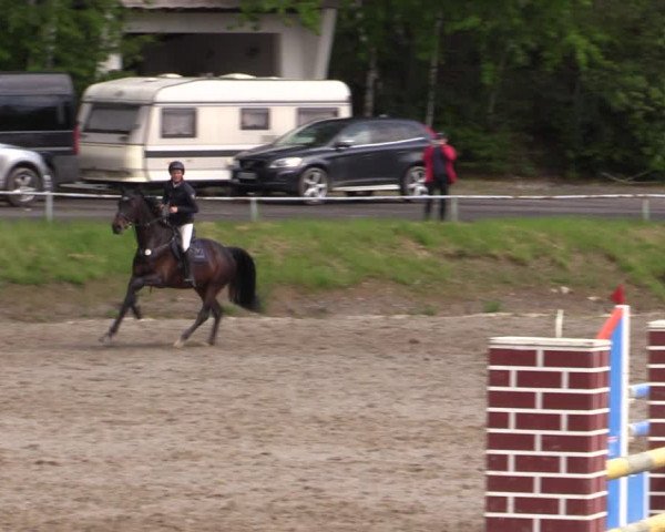 Reitturnier Lgl.-Oberhain, B95 2021