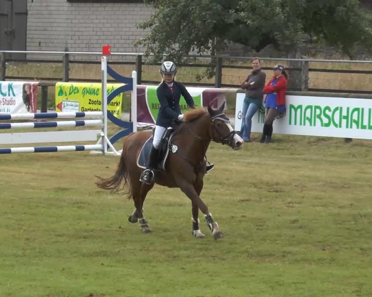 jumper Alinka (German Riding Pony, 1992, from Pico)