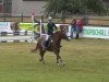 jumper Alinka (German Riding Pony, 1992, from Pico)