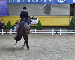 dressage horse Depardieu 18 (Württemberger, 2002, from Donnerprinz)