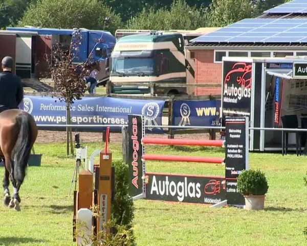 jumper Actros 11 (Hanoverian, 2005, from Adlantico As)