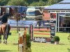 jumper Actros 11 (Hanoverian, 2005, from Adlantico As)