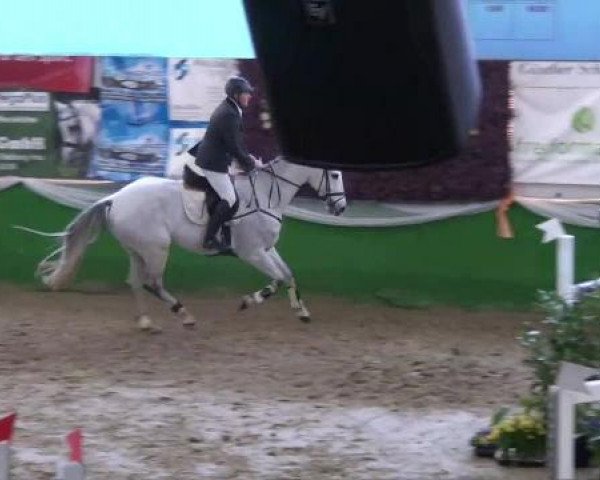 jumper Galando 20 (Hanoverian, 2004, from Graf Top)