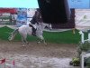 jumper Galando 20 (Hanoverian, 2004, from Graf Top)