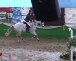 jumper Galando 20 (Hanoverian, 2004, from Graf Top)