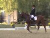 dressage horse Will Be 6 (Oldenburg, 1996, from Donnerwerther)