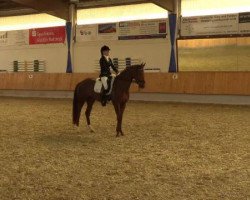 dressage horse Filia Contenta (Hannoveraner, 2010, from Fidertanz)