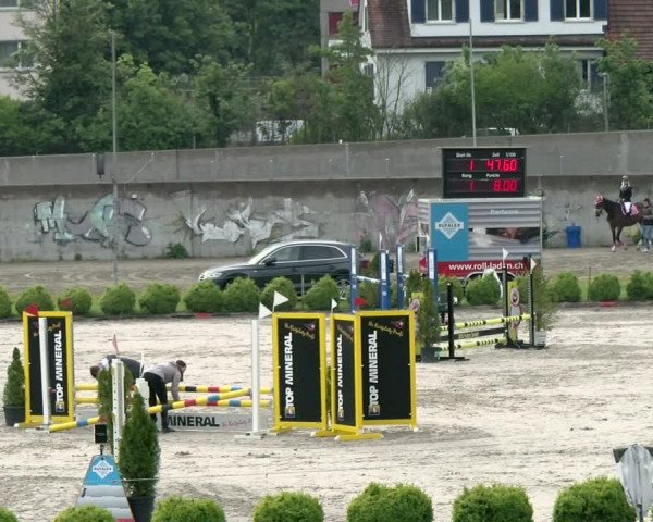 Reitturnier Basel Schänzli 2021