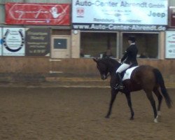 dressage horse Iberia 23 (Trakehner, 2005, from Patmos)