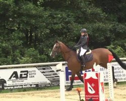 Springpferd Cera 41 (Hessisches Warmblut, 2003, von Colander)