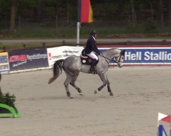Reitturnier Westergellersen 2021