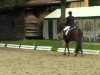 dressage horse Rubinero 7 (Westphalian, 2003, from Rubin Royal OLD)