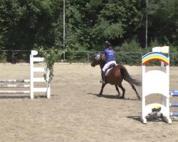 broodmare Top Karentina (German Riding Pony, 2004, from Top Karetino)