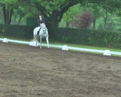 dressage horse Rantanplan 35 (Oldenburg, 2002, from Riverdance)