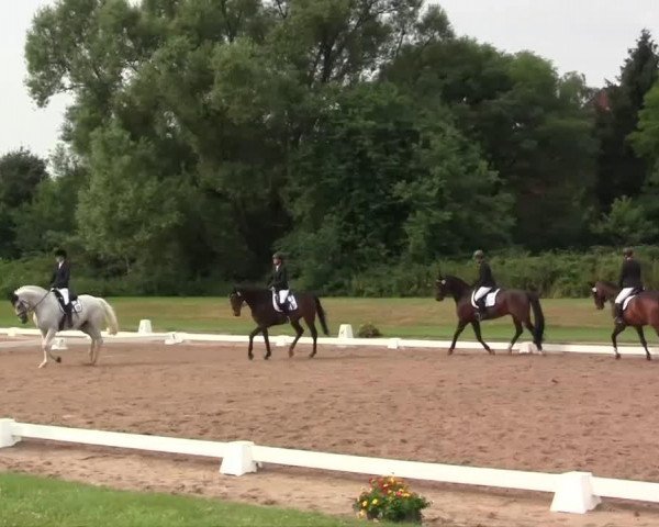 dressage horse Louka 3 (Rhinelander, 2001, from Loutino)