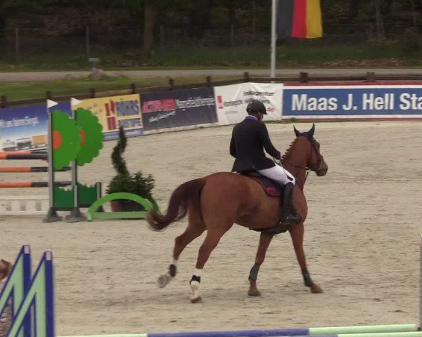 Reitturnier Westergellersen 2021