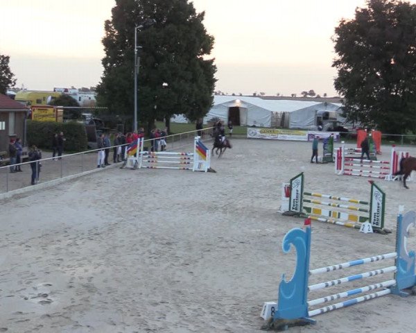 Springreitturnier Hohburg 2021