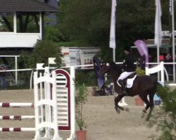 jumper Corum 3 (German Riding Pony, 2005, from Caracas)