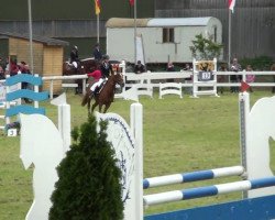 jumper Amelie La Rouge (German Riding Pony, 1999, from Aladin)