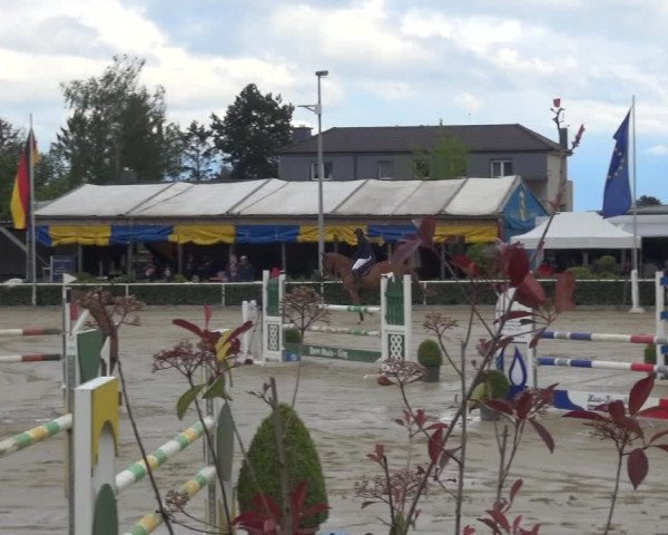 Reitturnier Bornheim-Widdig 2021