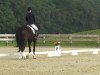 dressage horse Falkenauge 7 (Hessian Warmblood, 2002, from Flammengold)