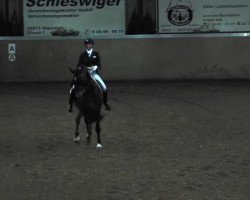 dressage horse Lothringer 6 (Holsteiner, 1999, from Lothringer)