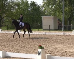 dressage horse Farinello 5 (Westphalian, 2004, from Florestan I)