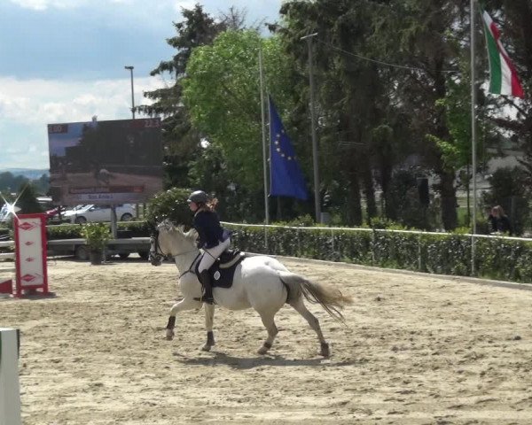 Reitturnier Bornheim-Widdig 2021