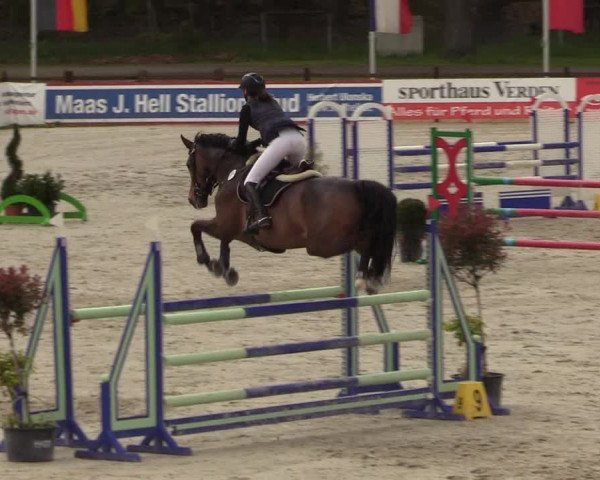 Reitturnier Westergellersen 2021