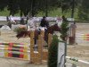 jumper Ekras Luciano (Norwegian Warmblood, 1998, from Laurin)