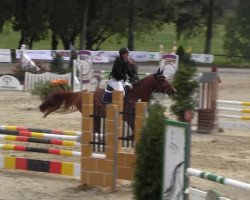 jumper Ekras Luciano (Norwegian Warmblood, 1998, from Laurin)