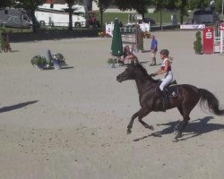 jumper Abby's coconut (German Sport Horse, 2003, from Landrebell)