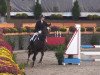 jumper Uron 3 (KWPN (Royal Dutch Sporthorse), 2001, from Osmium)