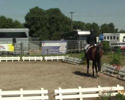 dressage horse Raoul K (Rhinelander, 2003, from Royal Angel)