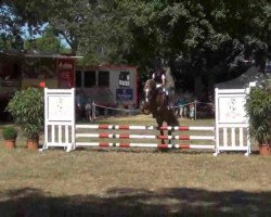 stallion Lemberg (German Riding Pony, 1996, from Lukas)