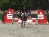 jumper Macao 26 (German Riding Pony, 1997, from FS Maracaibo)