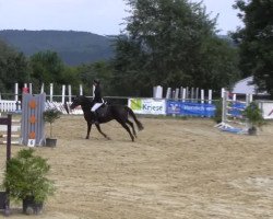 broodmare Debby (German Riding Pony, 2004, from Der feine Lord AT)